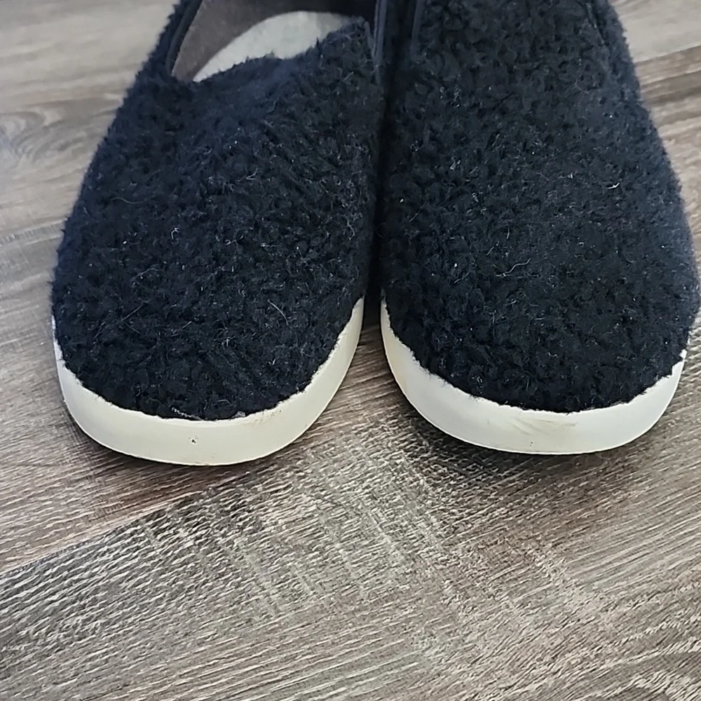 🎉 Allbirds 